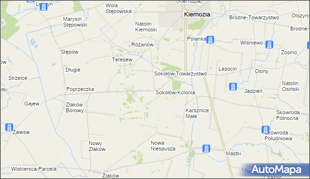 mapa Sokołów-Kolonia, Sokołów-Kolonia na mapie Targeo