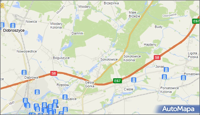 mapa Sokołowice gmina Oleśnica, Sokołowice gmina Oleśnica na mapie Targeo