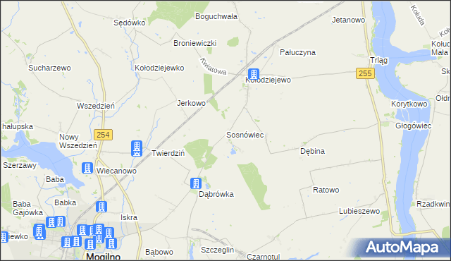 mapa Sosnowca, Sosnówiec na mapie Targeo