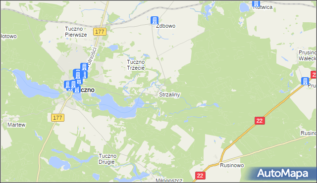 mapa Strzaliny, Strzaliny na mapie Targeo