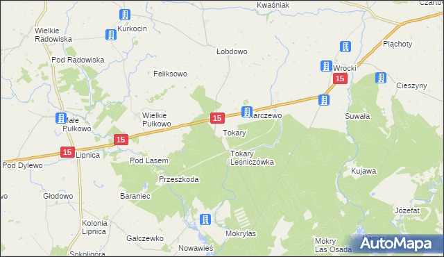 mapa Tokary gmina Golub-Dobrzyń, Tokary gmina Golub-Dobrzyń na mapie Targeo