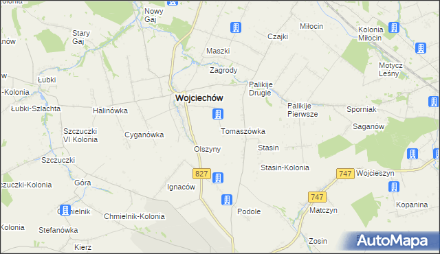 mapa Tomaszówka gmina Wojciechów, Tomaszówka gmina Wojciechów na mapie Targeo