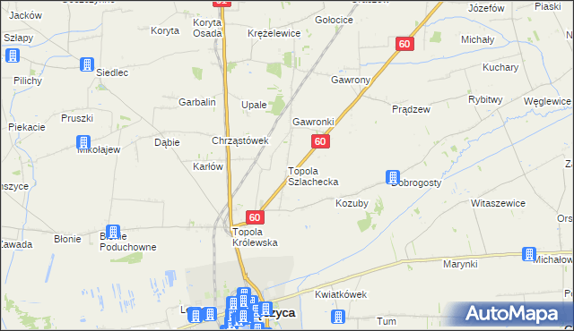 mapa Topola Szlachecka, Topola Szlachecka na mapie Targeo