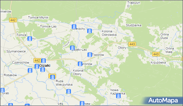 mapa Toporów gmina Gizałki, Toporów gmina Gizałki na mapie Targeo