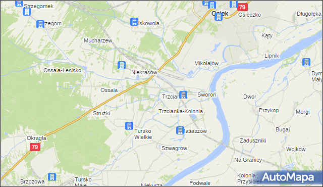 mapa Trzcianka gmina Osiek, Trzcianka gmina Osiek na mapie Targeo