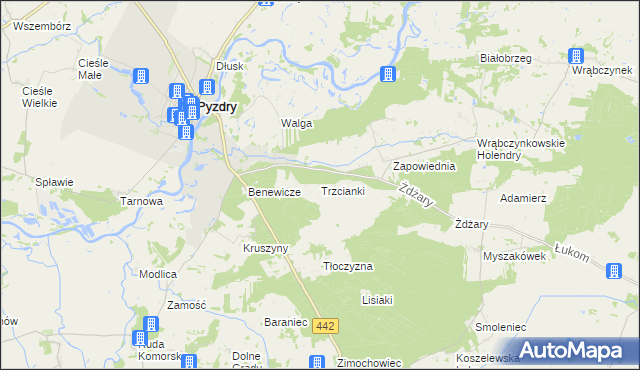 mapa Trzcianki gmina Pyzdry, Trzcianki gmina Pyzdry na mapie Targeo