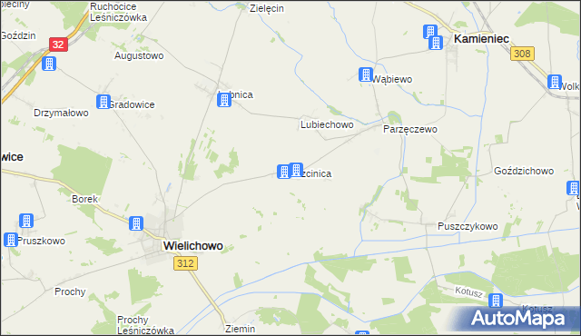 mapa Trzcinica gmina Wielichowo, Trzcinica gmina Wielichowo na mapie Targeo