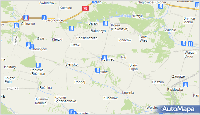 mapa Trzciniec gmina Nagłowice, Trzciniec gmina Nagłowice na mapie Targeo