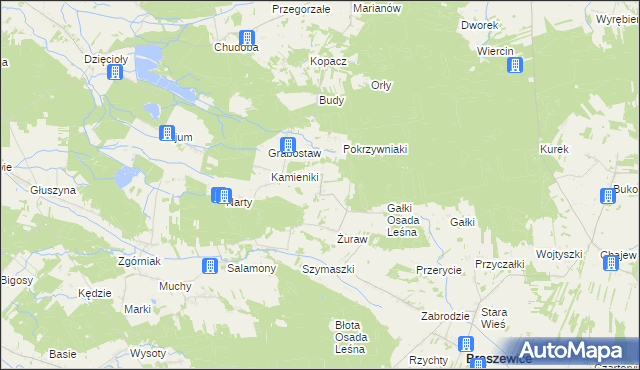 mapa Trzcinka gmina Brąszewice, Trzcinka gmina Brąszewice na mapie Targeo