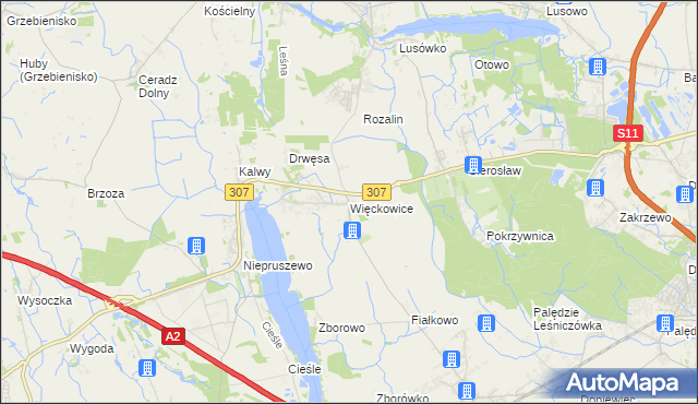 mapa Więckowice gmina Dopiewo, Więckowice gmina Dopiewo na mapie Targeo