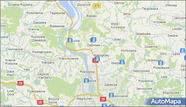 mapa Wielogłowy gmina Chełmiec, Wielogłowy gmina Chełmiec na mapie Targeo