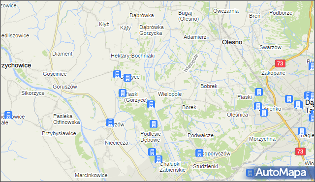 mapa Wielopole gmina Olesno, Wielopole gmina Olesno na mapie Targeo