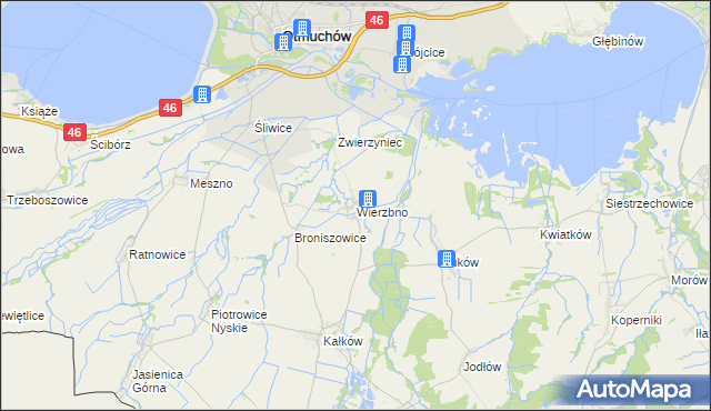 mapa Wierzbno gmina Otmuchów, Wierzbno gmina Otmuchów na mapie Targeo