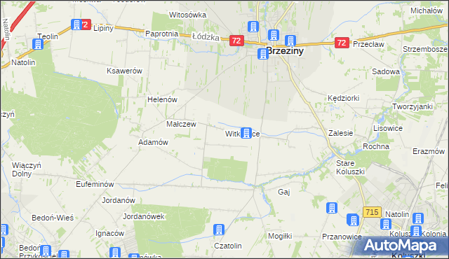 mapa Witkowice gmina Brzeziny, Witkowice gmina Brzeziny na mapie Targeo