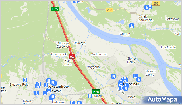 mapa Wołuszewo, Wołuszewo na mapie Targeo