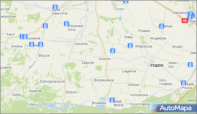 mapa Woźniki gmina Irządze, Woźniki gmina Irządze na mapie Targeo