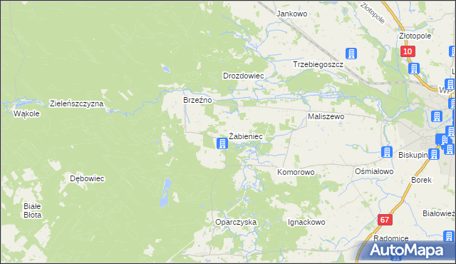 mapa Żabieniec gmina Lipno, Żabieniec gmina Lipno na mapie Targeo