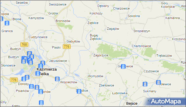 mapa Zagórzyce gmina Kazimierza Wielka, Zagórzyce gmina Kazimierza Wielka na mapie Targeo