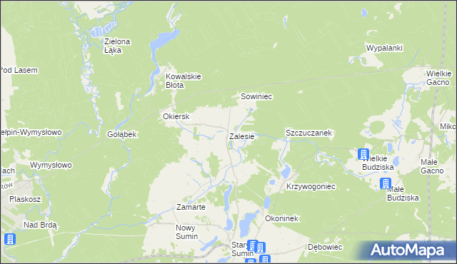mapa Zalesie gmina Cekcyn, Zalesie gmina Cekcyn na mapie Targeo