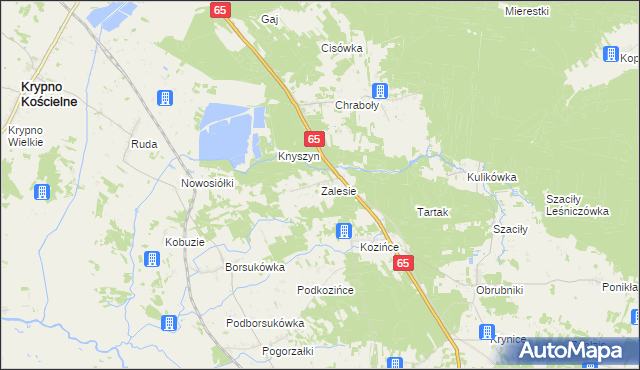 mapa Zalesie gmina Dobrzyniewo Duże, Zalesie gmina Dobrzyniewo Duże na mapie Targeo