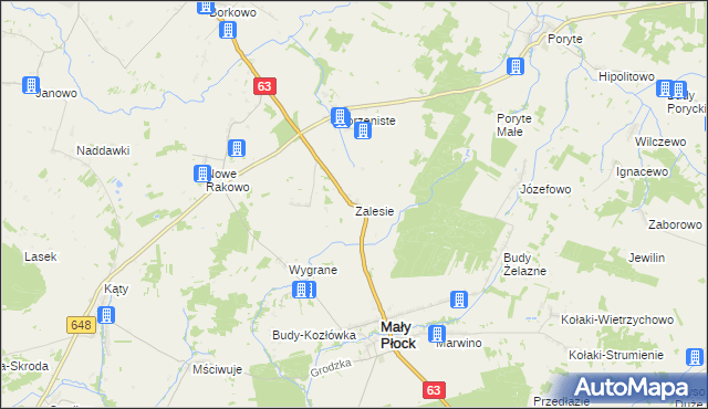mapa Zalesie gmina Mały Płock, Zalesie gmina Mały Płock na mapie Targeo
