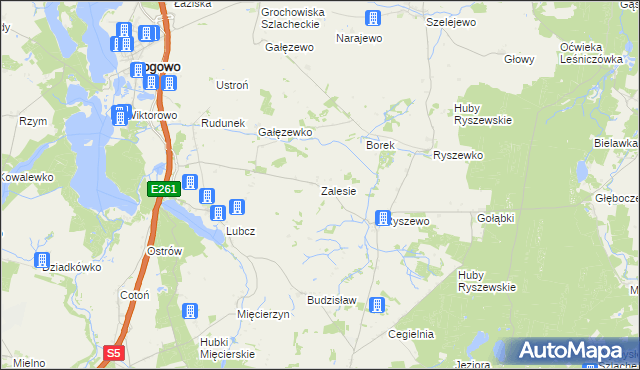 mapa Zalesie gmina Rogowo, Zalesie gmina Rogowo na mapie Targeo