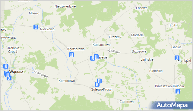 mapa Zalesie gmina Wąsosz, Zalesie gmina Wąsosz na mapie Targeo