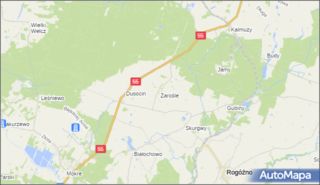 mapa Zarośle gmina Rogóźno, Zarośle gmina Rogóźno na mapie Targeo