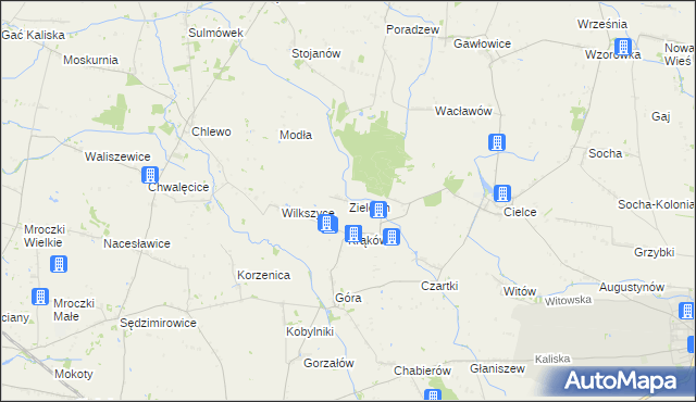 mapa Zielęcin gmina Warta, Zielęcin gmina Warta na mapie Targeo