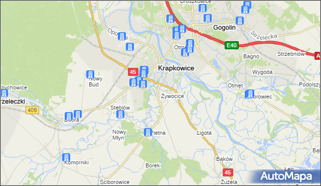 mapa Żywocice, Żywocice na mapie Targeo