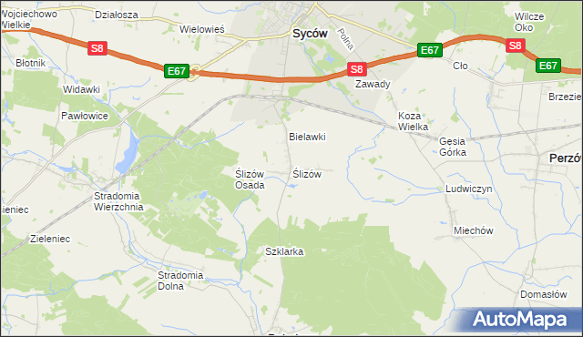 mapa Ślizów, Ślizów na mapie Targeo