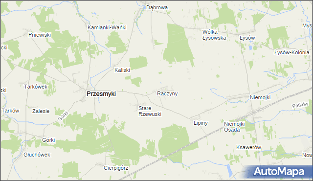 mapa Raczyny gmina Przesmyki, Raczyny gmina Przesmyki na mapie Targeo