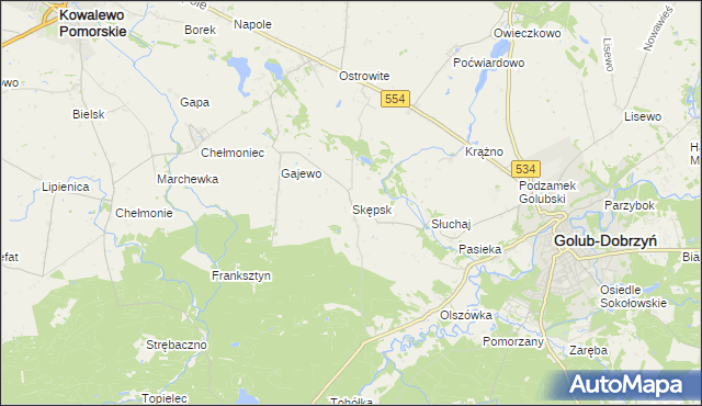 mapa Skępsk, Skępsk na mapie Targeo