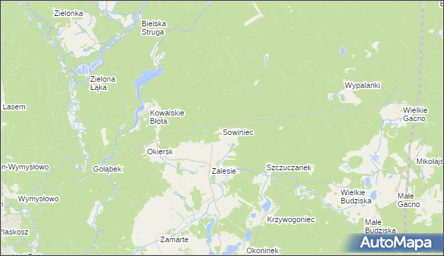 mapa Sowiniec gmina Cekcyn, Sowiniec gmina Cekcyn na mapie Targeo