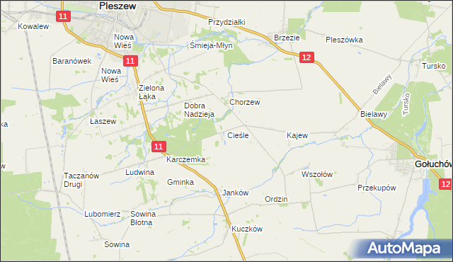 mapa Cieśle gmina Gołuchów, Cieśle gmina Gołuchów na mapie Targeo