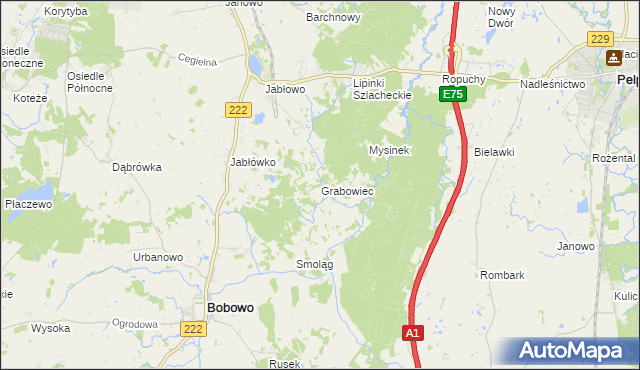 mapa Grabowiec gmina Bobowo, Grabowiec gmina Bobowo na mapie Targeo