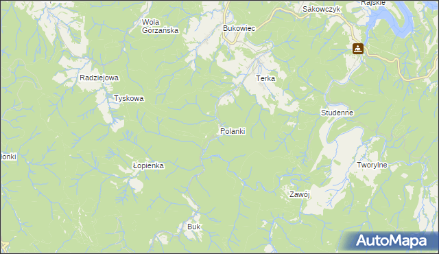 mapa Polanki gmina Solina, Polanki gmina Solina na mapie Targeo