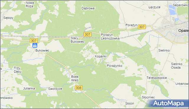 mapa Kopanki gmina Opalenica, Kopanki gmina Opalenica na mapie Targeo