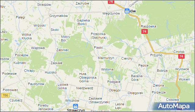 mapa Malmurzyn, Malmurzyn na mapie Targeo