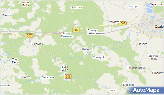 mapa Kopanki gmina Opalenica, Kopanki gmina Opalenica na mapie Targeo