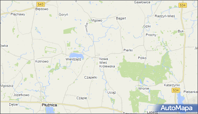 mapa Nowa Wieś Królewska gmina Płużnica, Nowa Wieś Królewska gmina Płużnica na mapie Targeo