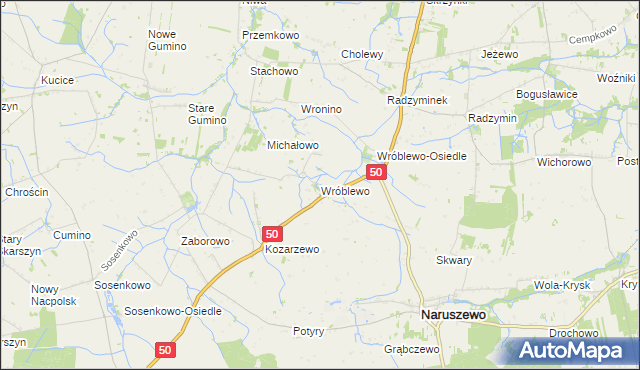 mapa Wróblewo gmina Naruszewo, Wróblewo gmina Naruszewo na mapie Targeo