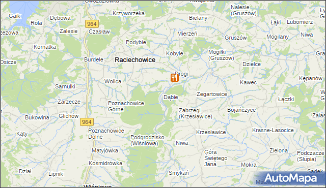 mapa Dąbie gmina Raciechowice, Dąbie gmina Raciechowice na mapie Targeo