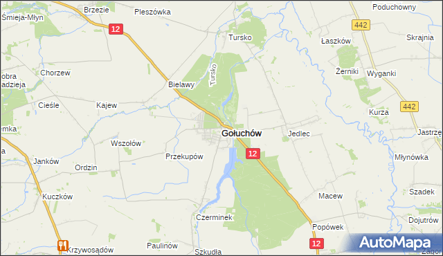 mapa Gołuchów powiat pleszewski, Gołuchów powiat pleszewski na mapie Targeo