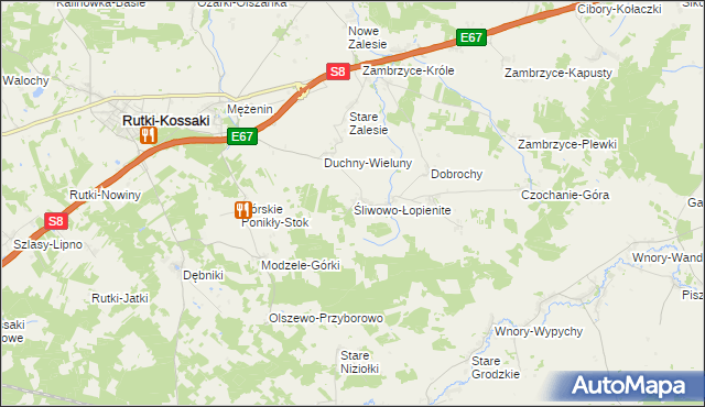 mapa Śliwowo-Łopienite, Śliwowo-Łopienite na mapie Targeo