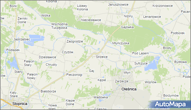 mapa Strzelce gmina Oleśnica, Strzelce gmina Oleśnica na mapie Targeo