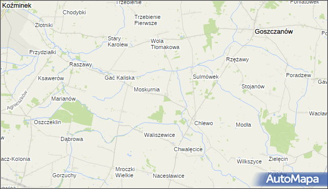 mapa Świnice Kaliskie, Świnice Kaliskie na mapie Targeo