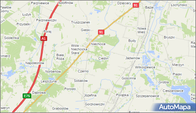 mapa Cieślin gmina Rozprza, Cieślin gmina Rozprza na mapie Targeo