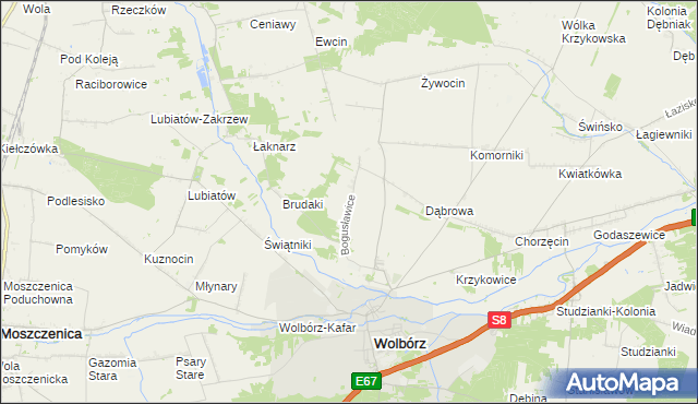 mapa Bogusławice gmina Wolbórz, Bogusławice gmina Wolbórz na mapie Targeo