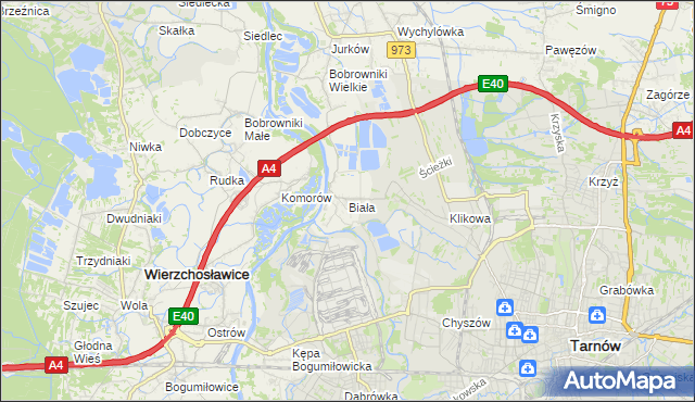 mapa Biała gmina Tarnów, Biała gmina Tarnów na mapie Targeo